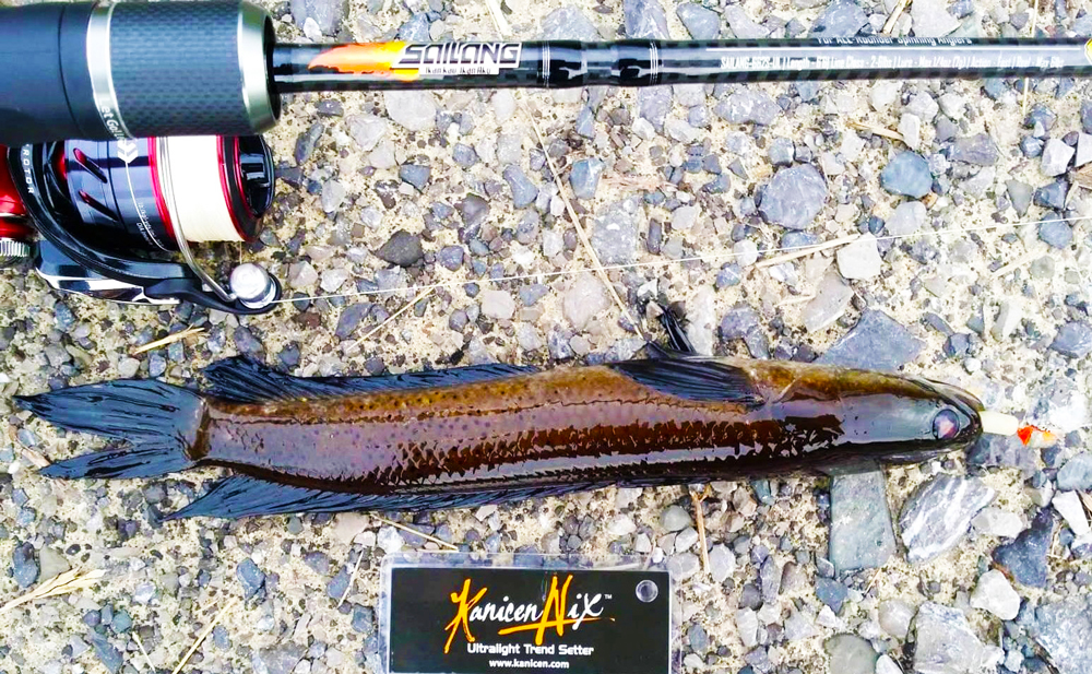 kanicen nix grenti strike curly tail