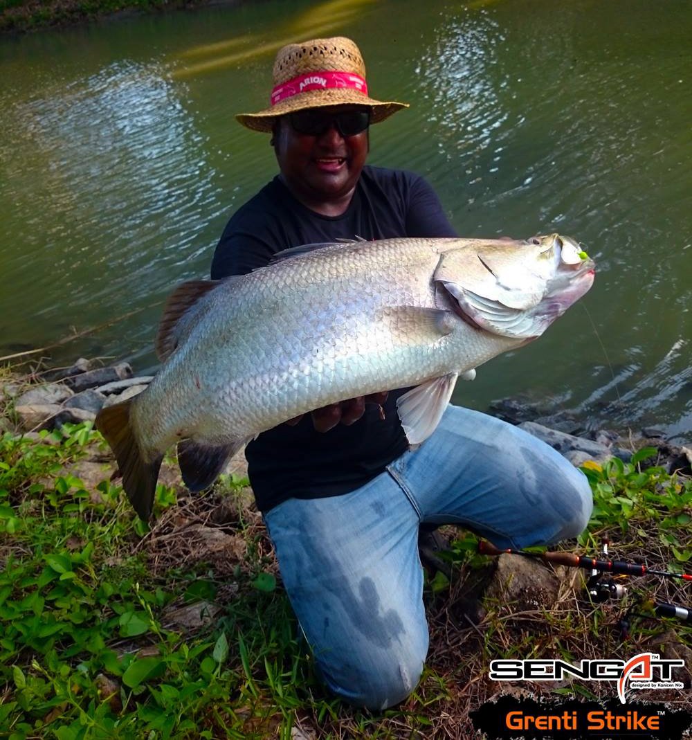 Tips Mancing Ikan Siakap Cara Umpan Yang Sesuai Grenti Strike Menjadi Pilihan