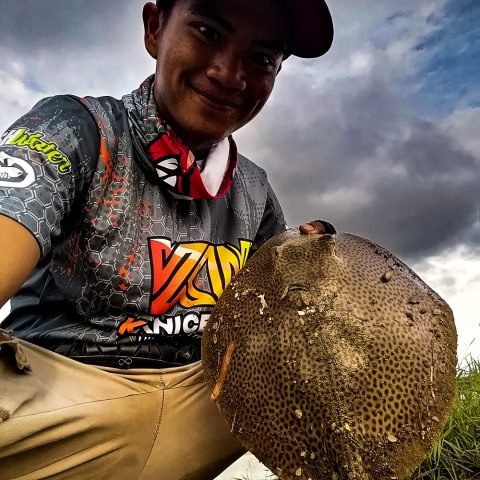 Giant Trevally on Mambang Hitam, Indonesia