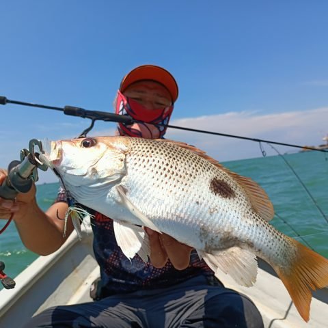 Fishing Tips: What Kind of Fish Can You Target With Our Worms? Ikan