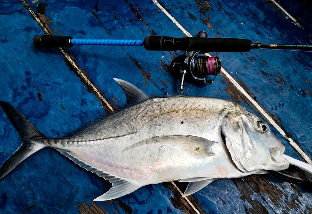 Giant Trevally / Gerepoh on Mambang Hitam Ultralight Jigging Rod - Kanicen  Nix