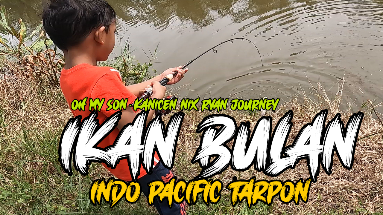 EVEN 5 YEARS OLD KID CAN STRIKE TARPON USING OUR GELI-GELI WORMS